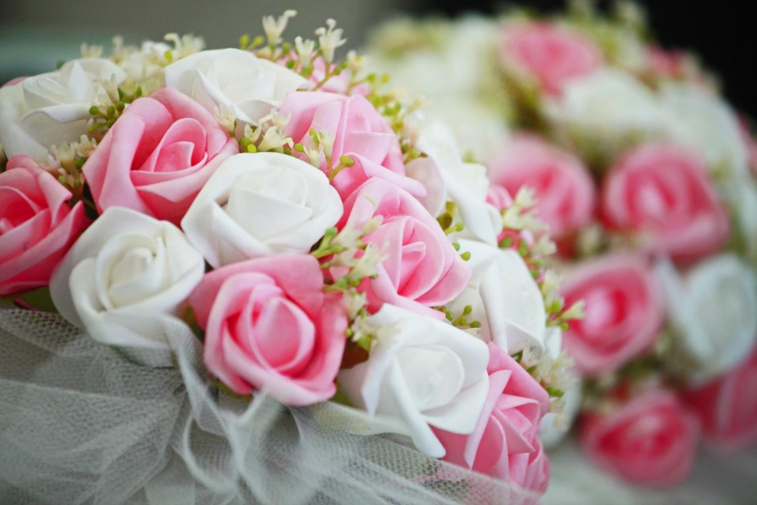 Eğitim ortamı ve çalışma materyalleri